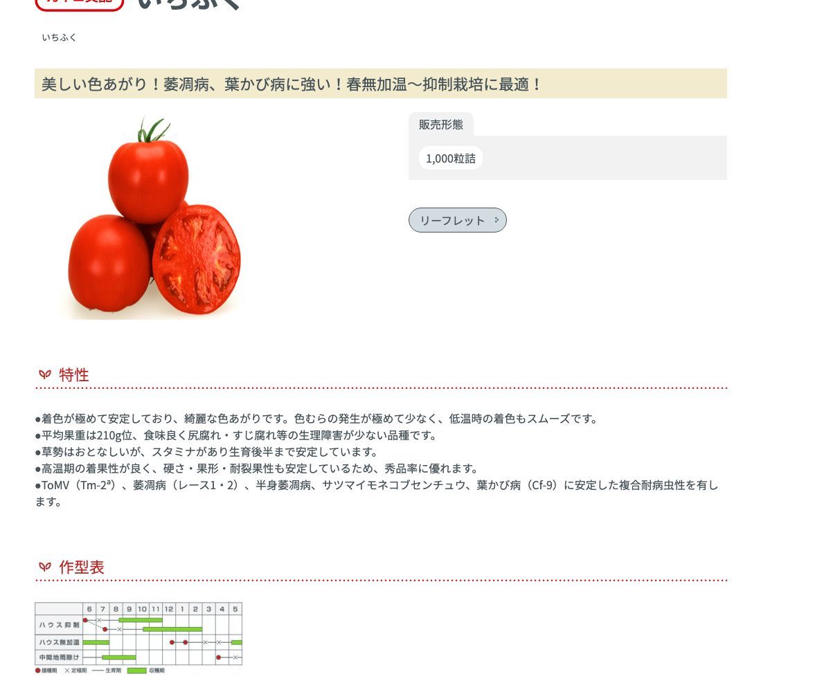 いちふく