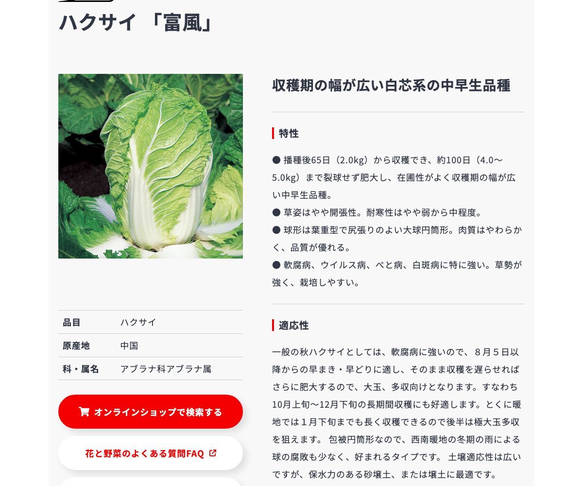 富風