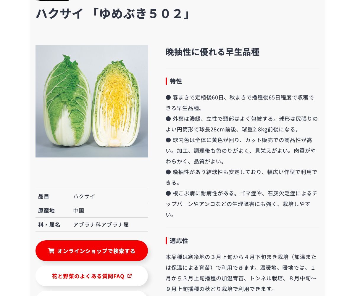 ゆめぶき502