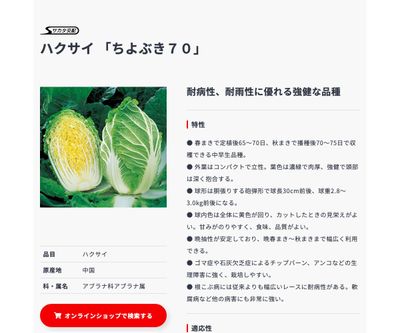 ちよぶき７０の画像