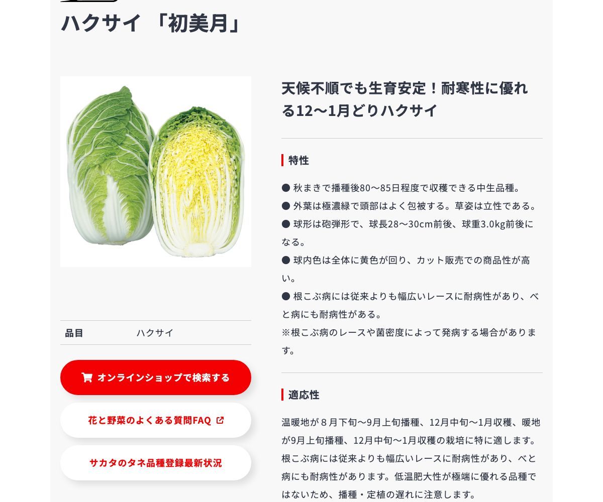 初美月