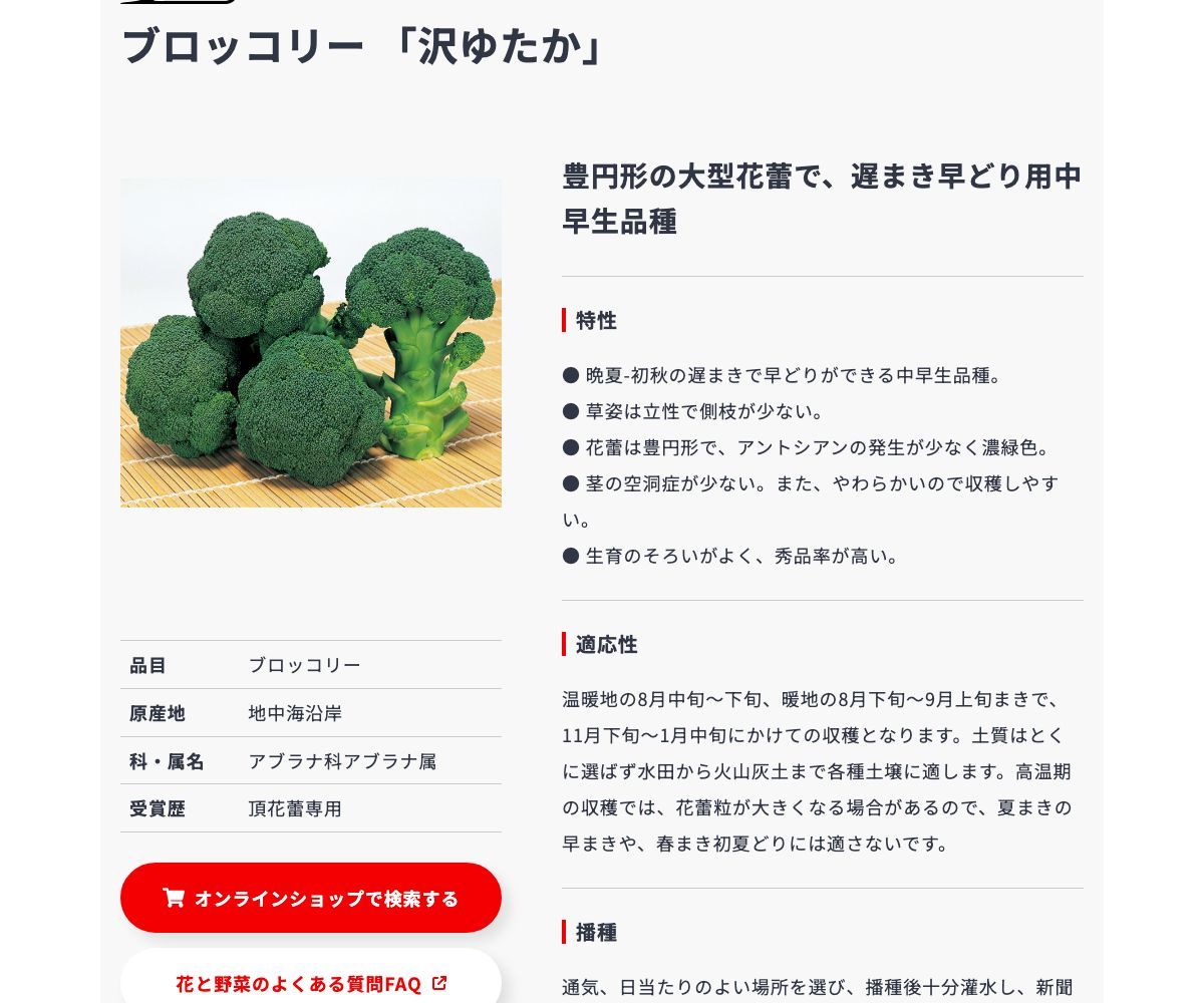 沢ゆたか
