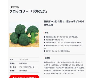 沢ゆたかの画像