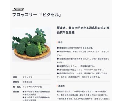 ピクセルの画像