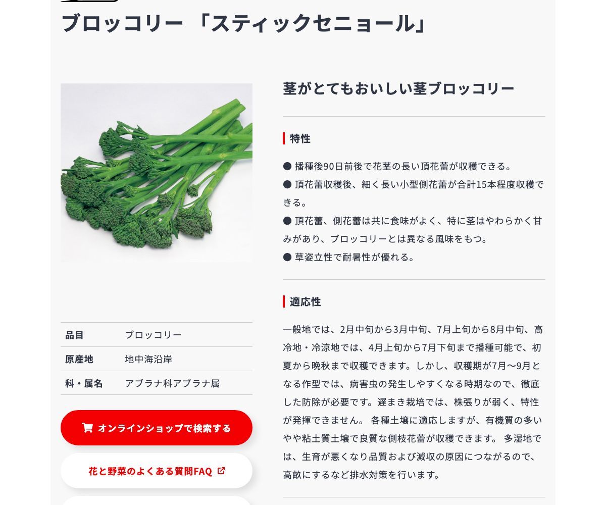スティックセニョール