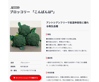 こんばんは®の画像