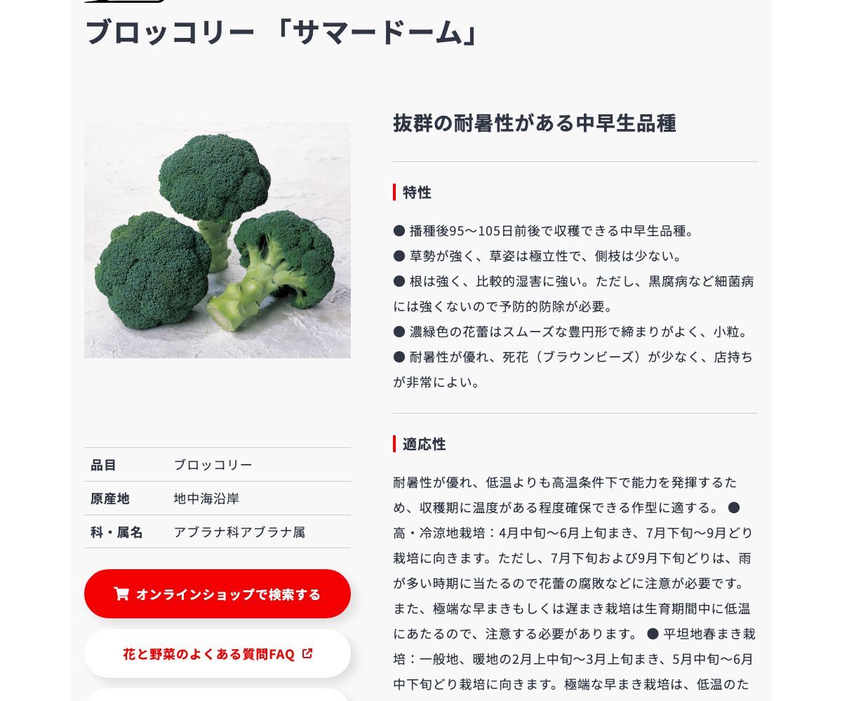 サマードーム