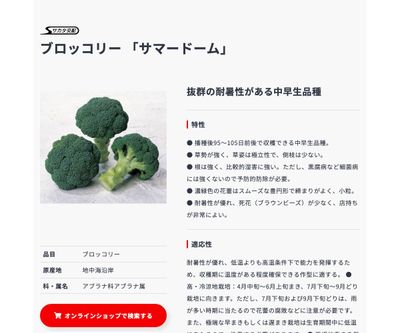 サマードームの画像