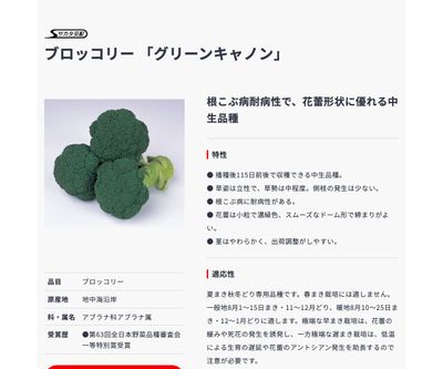 グリーンキャノンの画像