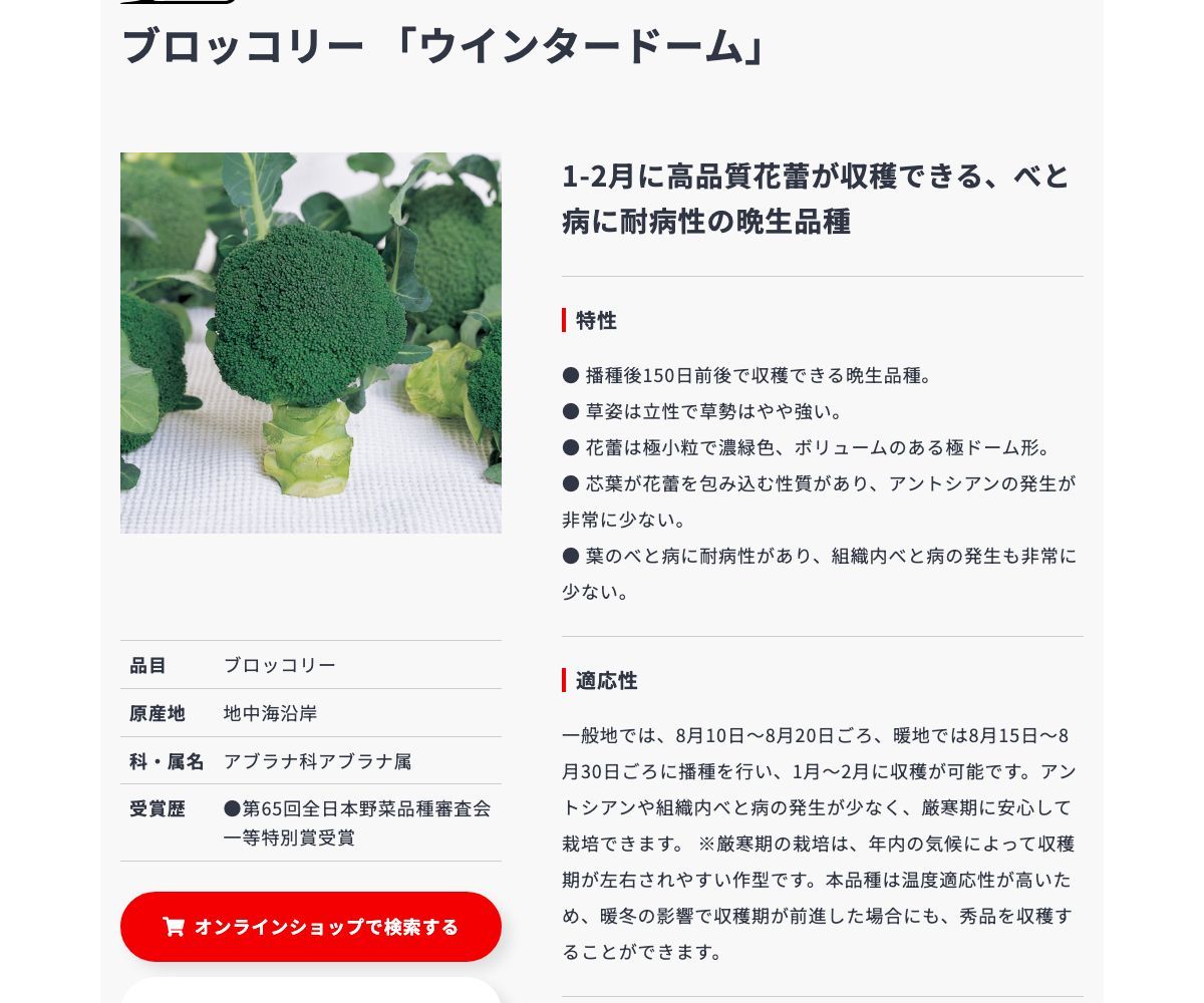 ウインタードーム