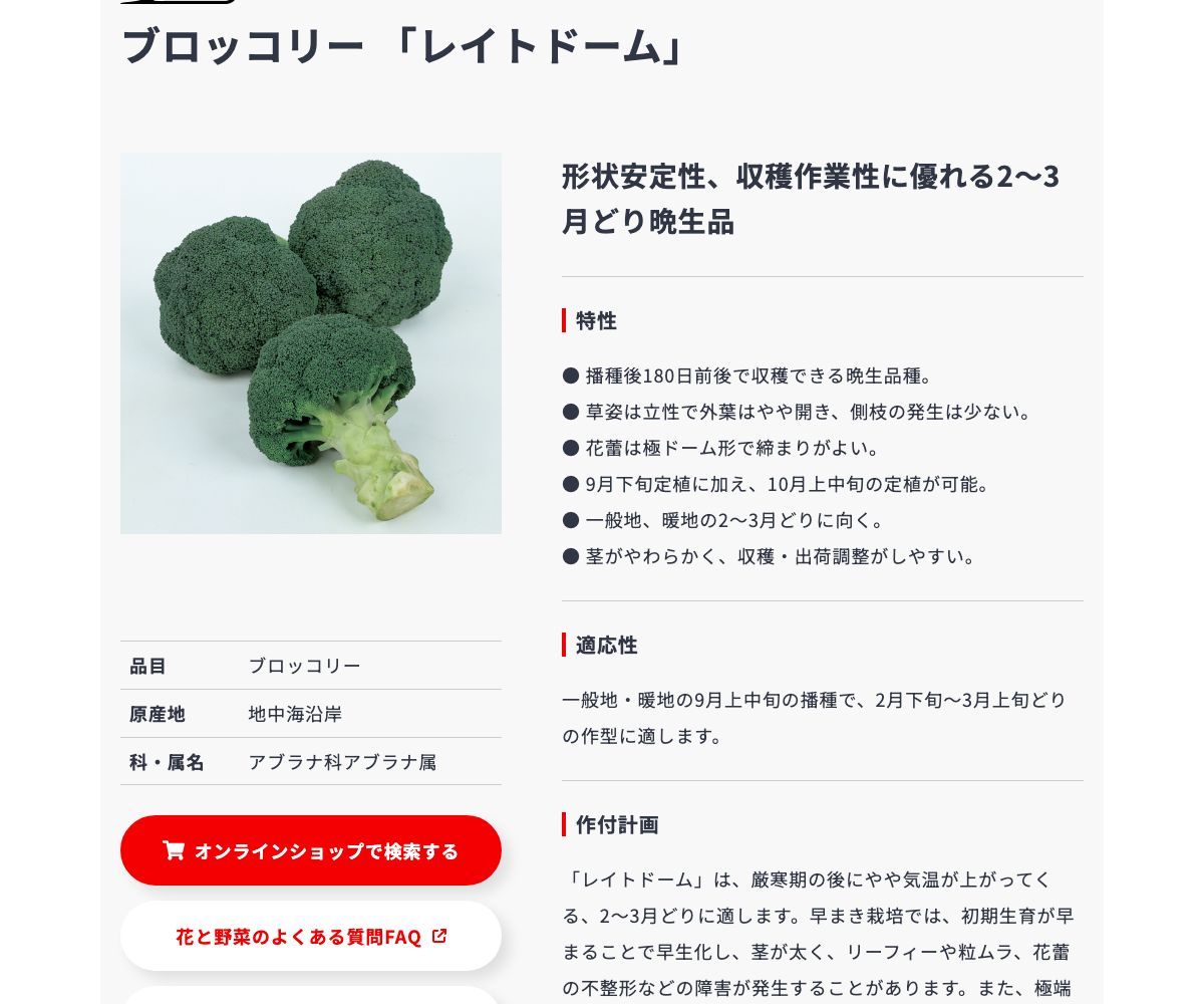 レイトドーム