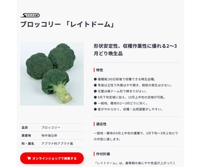 レイトドームの画像