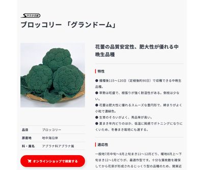 グランドームの画像