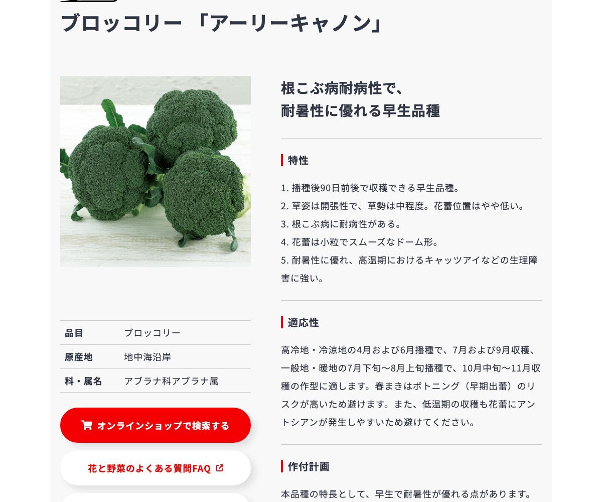 アーリーキャノン