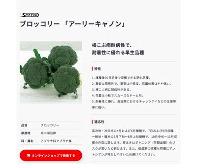 アーリーキャノンの画像