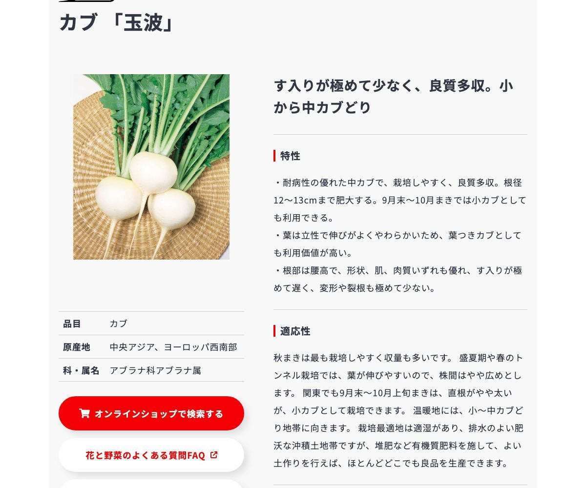 玉波
