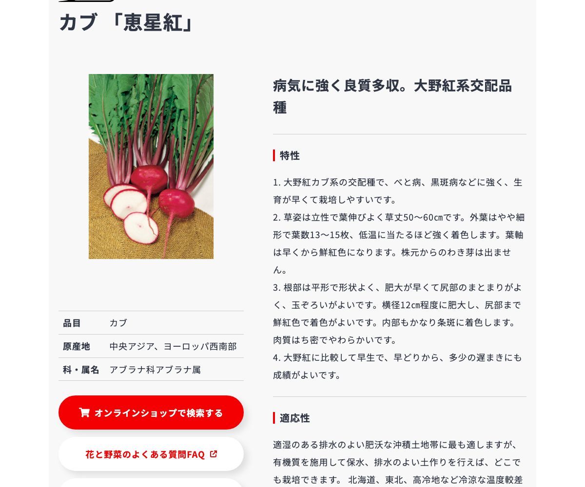 恵星紅