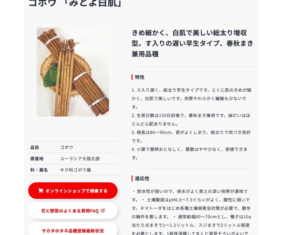 みとよ白肌
