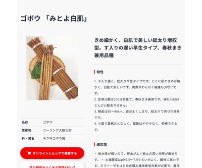 みとよ白肌の画像