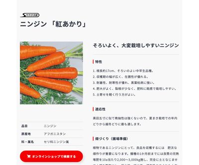 紅あかりの画像