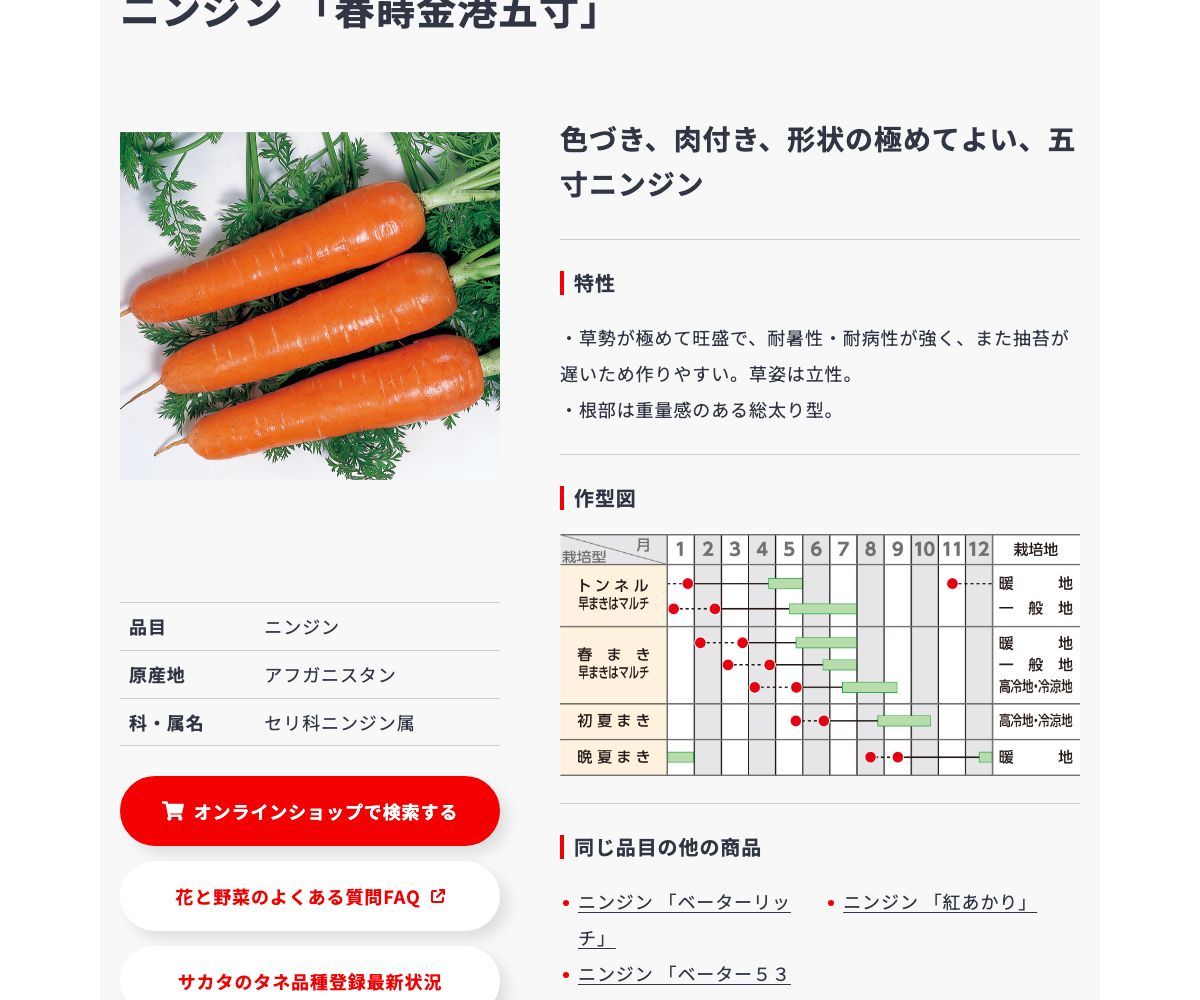春蒔金港五寸