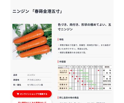 春蒔金港五寸の画像