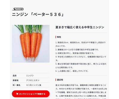 ベーター５３６の画像