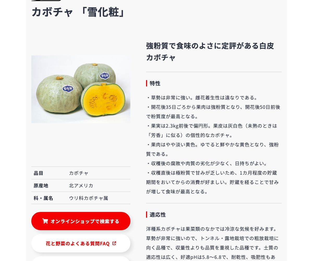 雪化粧