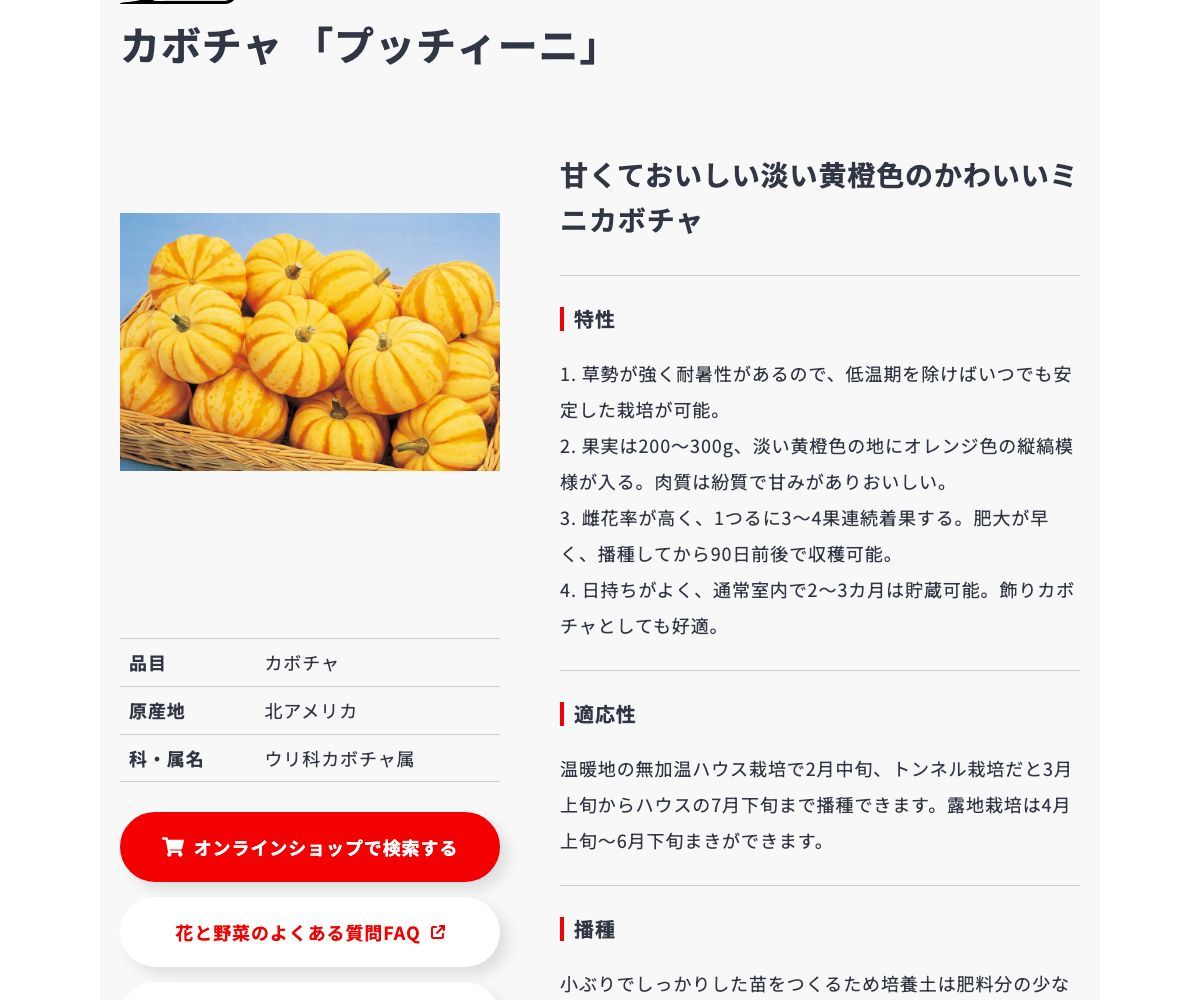 プッチィーニ