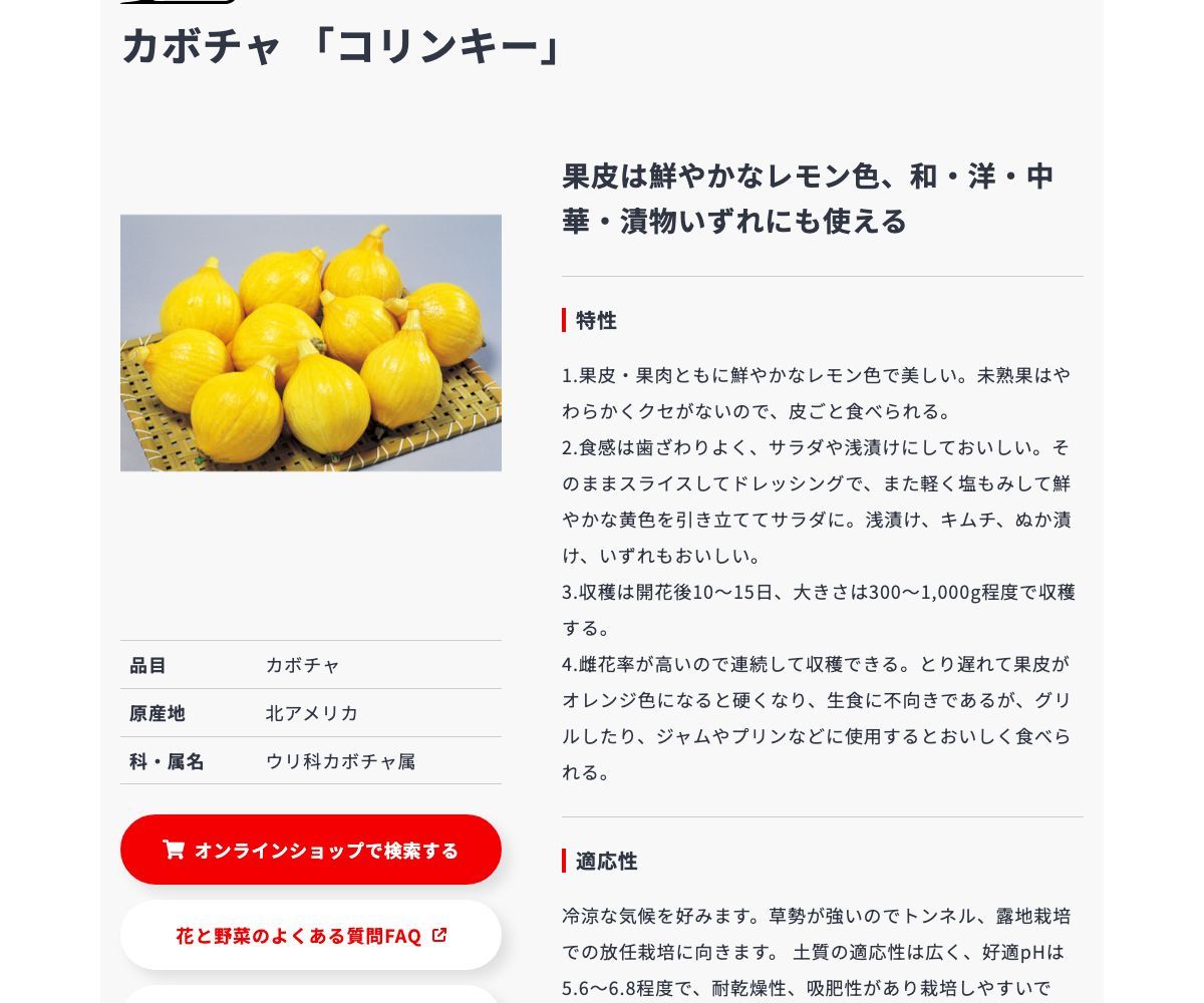 コリンキー