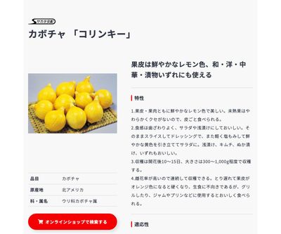 コリンキーの画像