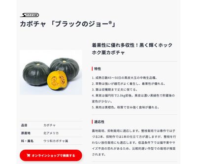 ブラックのジョー®の画像