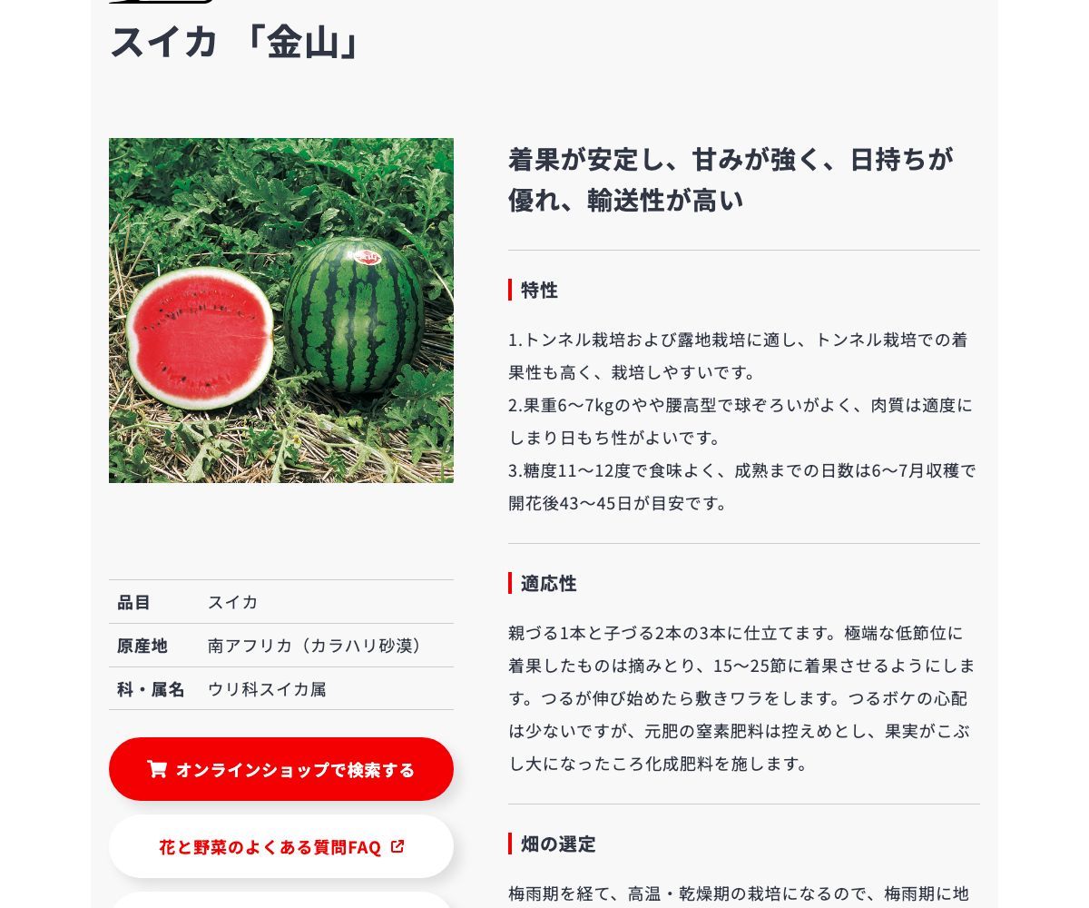 金山