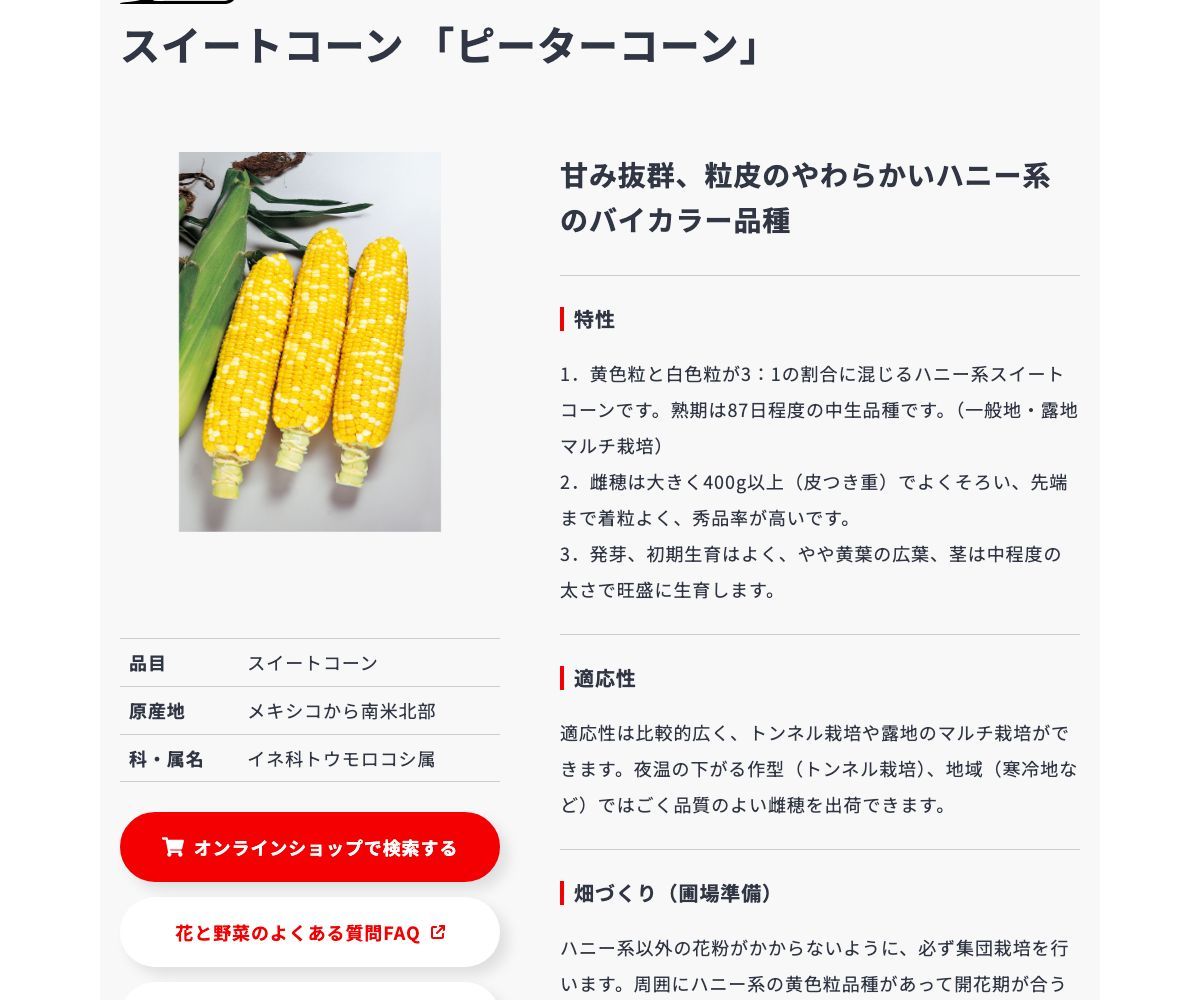 ピーターコーン