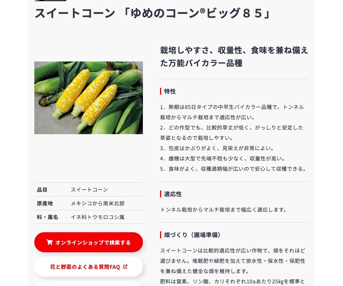 ゆめのコーン®ビッグ85