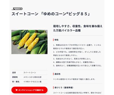 ゆめのコーン®ビッグ８５の画像