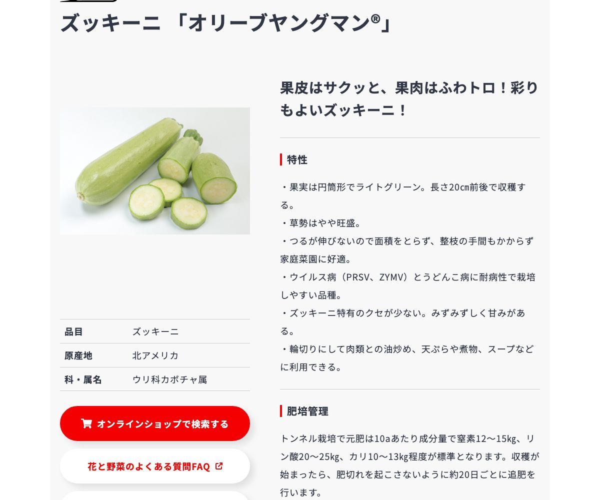 オリーブヤングマン®