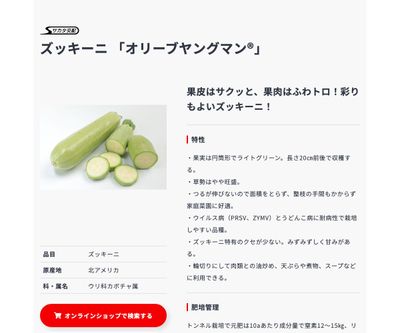 オリーブヤングマン®の画像