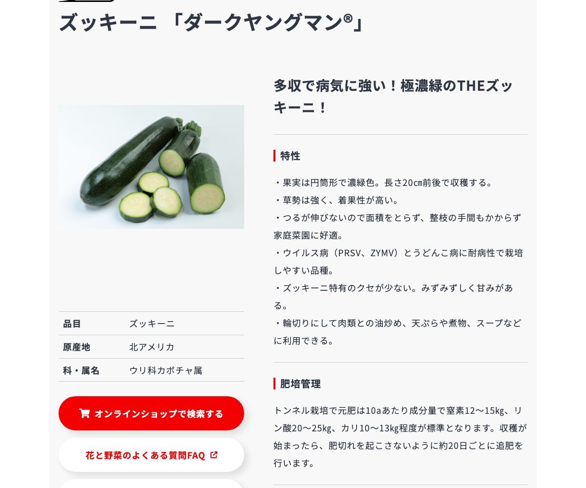 ダークヤングマン®