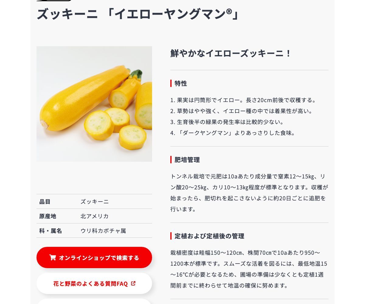 イエローヤングマン®