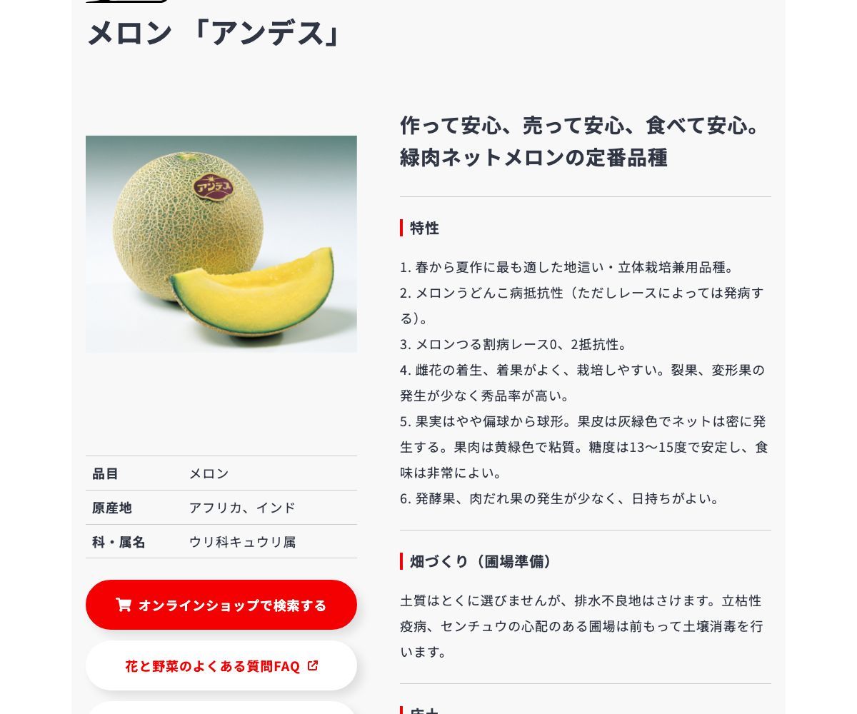 アンデス