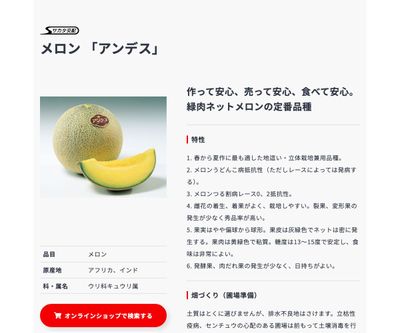 アンデスの画像