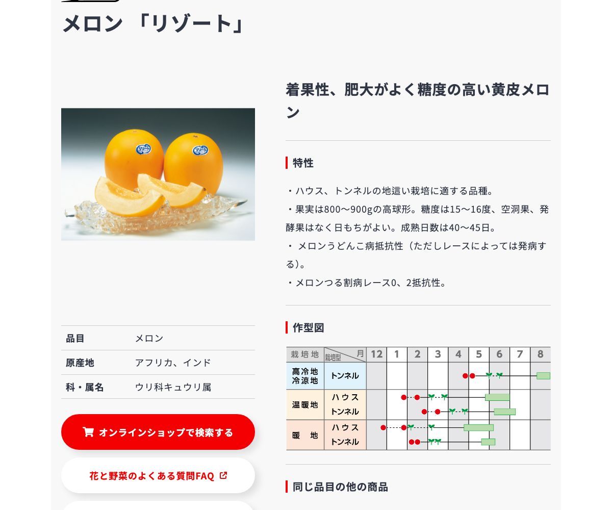 リゾート