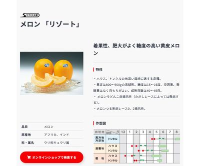 リゾートの画像