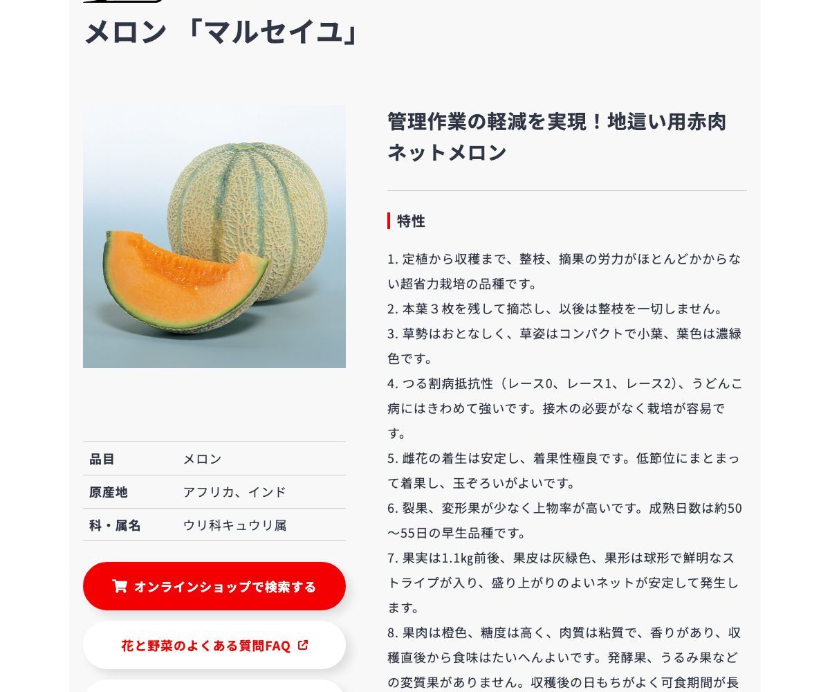 マルセイユ