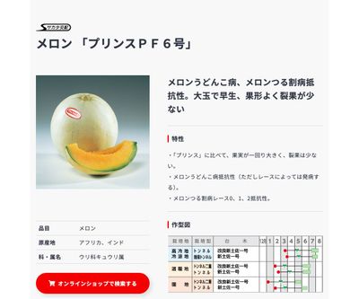 プリンスＰＦ６号の画像