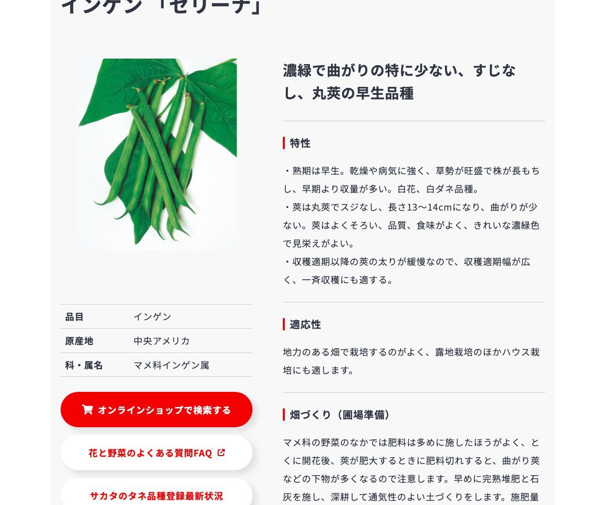 セリーナ
