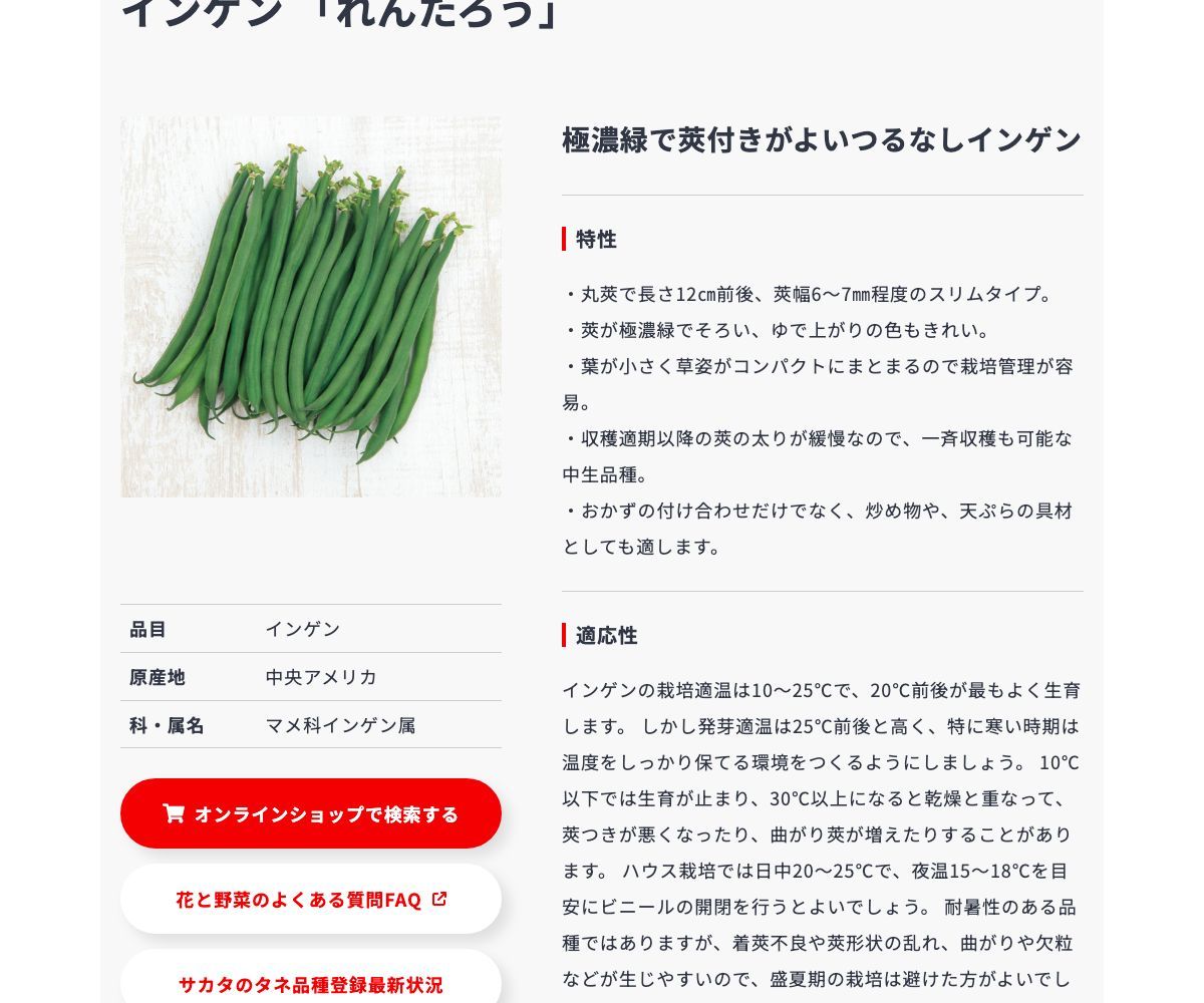 れんたろう