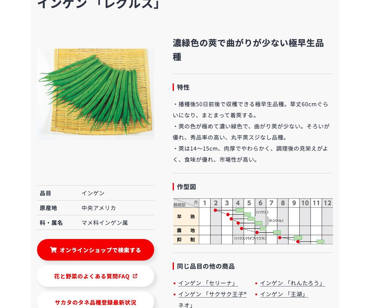 レグルス