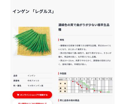 レグルスの画像